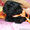 Первые щенки лабрадора от Адмирала в сибири - Изображение #2, Объявление #83748