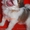 очаровательные щенки чихуахуа и японского хина - Изображение #2, Объявление #218638