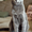 Продам котят породы Русская голубая - Изображение #4, Объявление #321624