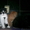 Шотландские котята от Чемпионов - Изображение #3, Объявление #314068