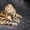 Шотландские вислоухие котята - Изображение #2, Объявление #311820