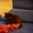 Британские Котята из Питомника Mon Ami #399505