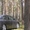 Honda Civic 4D седан (декабрь 2009) - Изображение #5, Объявление #398461