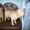 Продам прелестных щенков шарпея - Изображение #1, Объявление #441975