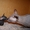 Ищу кошку на вязку донской сфинкс - Изображение #4, Объявление #444944