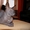 Ищу кошку на вязку донской сфинкс - Изображение #3, Объявление #444944