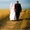  Свадьбы в Тюмени