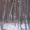 Участок в Перевалово в сосновом лесу - Изображение #2, Объявление #529526