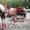 ООО "Поиск" Катание на лошадях - Изображение #1, Объявление #720002