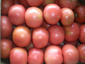 Свежие томаты и огурцы - Изображение #1, Объявление #54646