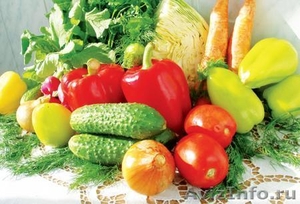 Овощи оптом: Помидоры, Огурцы, Кабачки, Капуста, Морковь, - Изображение #1, Объявление #336271