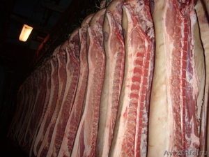 Мясокомбинат ВЛАДИ на постоянной основе реализует свинину в полутушах  - Изображение #1, Объявление #364838