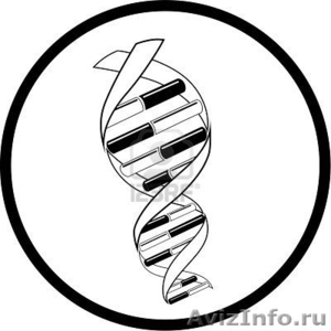 Тест ДНК на отцовство - Изображение #1, Объявление #546838