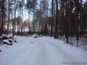 Участок в Перевалово в сосновом лесу - Изображение #3, Объявление #529526