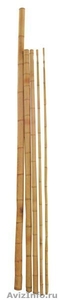 Продам стволы бамбука! - Изображение #1, Объявление #766180