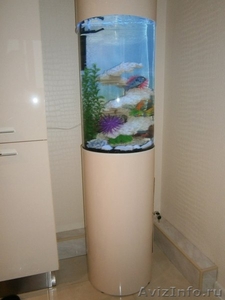 Красивый комплексн аквариум 130л Marvelous  - Изображение #3, Объявление #1232585