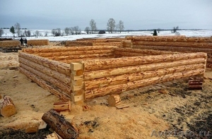 Строительство деревянных домов, бань и беседок - Изображение #1, Объявление #1403613