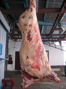 Свежее мясо быка - Изображение #1, Объявление #1620576